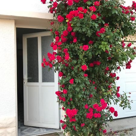 Joli Studio Au Coeur De Verdun מראה חיצוני תמונה